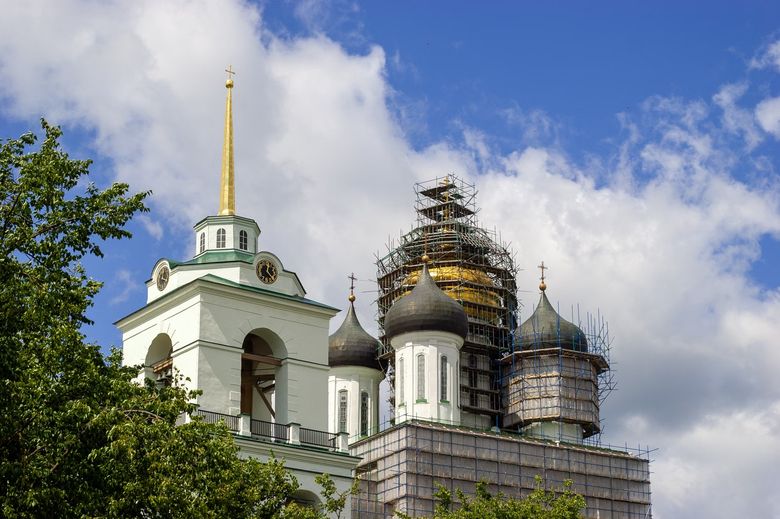 Сколько стоит сохранить взрослое дерево при строительстве?